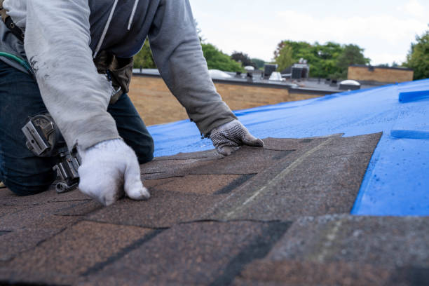 Best New Roof Installation  in Marmet, WV