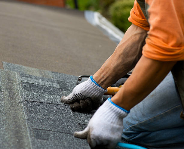 Best Emergency Roof Repair  in Marmet, WV